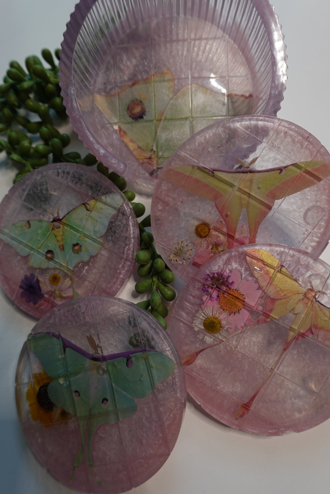 June Moth Coaster Set