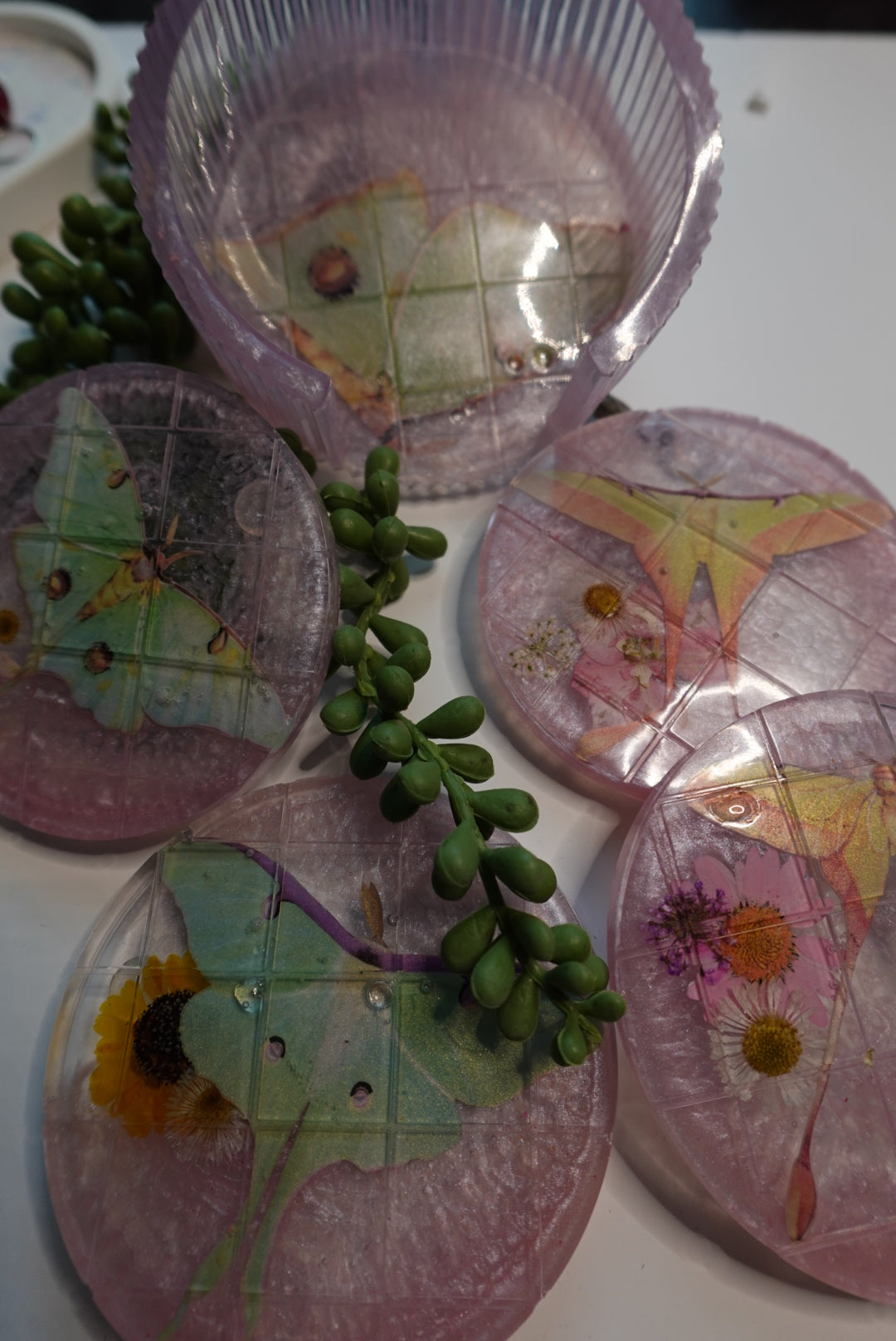 June Moth Coaster Set